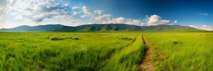 summer panorama of the field and the blue sky in the mountains. High quality Generative AI