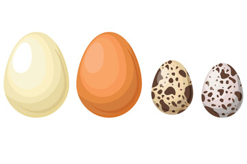 Vector set of farm eggs. The concept of cooking and fresh food. Chicken yolk and protein. A beautiful element for your design.