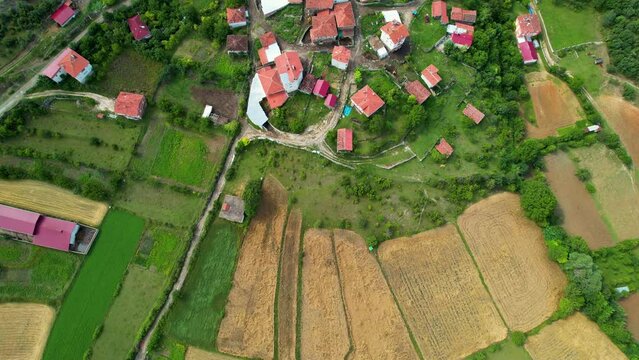 village life and agricultural fields and ponds for irrigation and village houses with visible roofs nearby