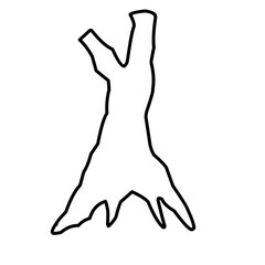 Hand Drawn Tree Trunk Doodle