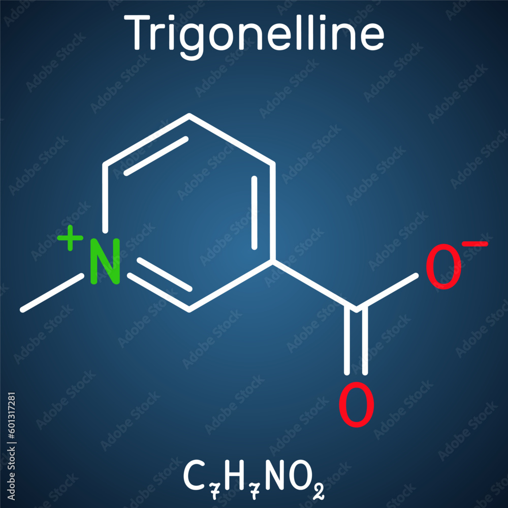 Wall mural Trigonelline plant alkaloid molecule. It is methylation product of niacin vitamin B3, methylated niacin. Structural chemical formula on the dark blue background.