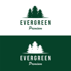 Fototapeta na wymiar Pine tree,evergreen and mountain vintage Logo design.Logo for adventurer, camping, nature, badge and business.