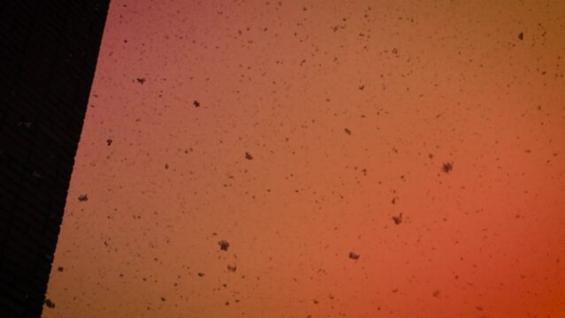 Large flakes of ash fall from the sky due to forest fires. A natural disaster is like an apocalypse.