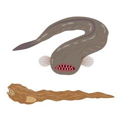 わらすぼのイラスト