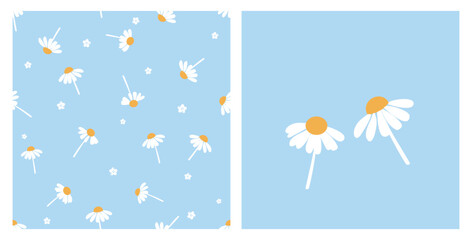 Fototapeta na wymiar Seamless pattern with daisy flower on blue backgrounds vector.