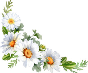 Daisy flowers corner border. Bouquet of chamomile.  Wildflowers for wedding invitations and greeting cards. Watercolor illustration. Rustic flower  © Nataliya Kunitsyna