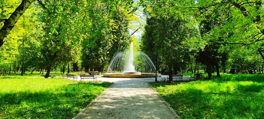 fountain in the park
Fontanna w parku 