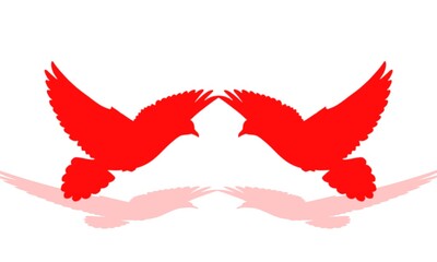 silhouette red dove international symbol of peace