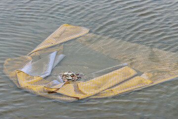 A decoration fabric with coins on a seabed in the mouth of the Chao Phraya River. A Relics of the...