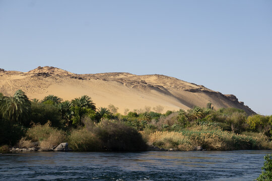 Paesaggio caratteristico della zona nubiana in Egitto, riva del Nilo, vegetazione, palme e dune di sabbia 
