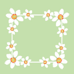 template frame with hand drawn white daffodils on mint background, vector illustration