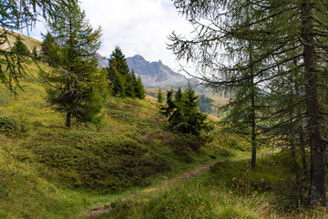 Obraz premium Passo San Pellegrino, Trentino Alto Adige 