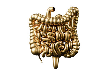 3d illustration of golden human intestine. Large and small intestine made of gold isolated on white background