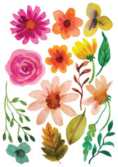 set of watercolor flower elements clipart on isolated background