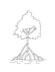 mangrove tree showing root system in illustration