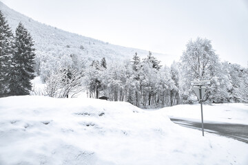 Obraz premium Winter landscape in Scandinavia. With snow covered trees on a mountain. Landscape