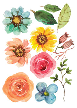 set of watercolor flower elements clipart on isolated background