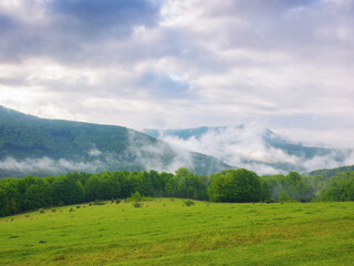 Obraz premium countryside mountain landscape. green meadows and forested hills in spring. misty morning with overcast sky
