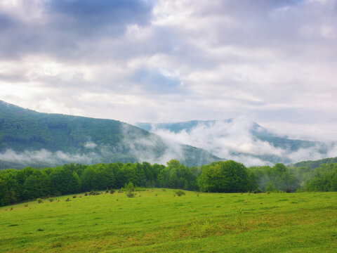 countryside mountain landscape. green meadows and forested hills in spring. misty morning with overcast sky