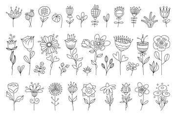 This vector stock illustration features a collection of delicate plants and flowers drawn in a minimalist thin line style. Each depiction is intricately detailed