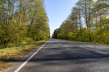 Yellowing foliage in the autumn season