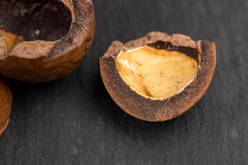 A bunch of ripe macadamia nuts in a hard shell