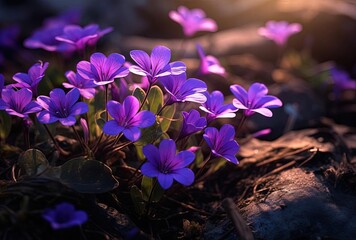 bright purple flowers are growing in the ground, generative ai
