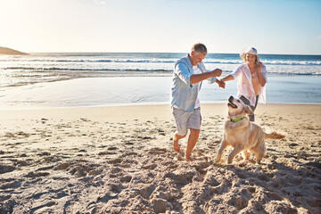 Happy couple, holding hands and at the beach with a dog in summer for retirement travel in...