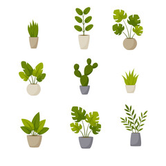 Set of plants in pots. Vector illustration.	