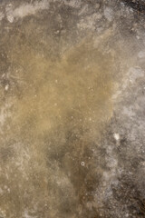 frozen dirty water in puddles on the soil