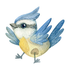 Watercolor illustration. Bird. Tit