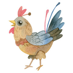 Watercolor illustration. Bird. Chicken