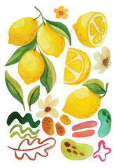 lemon or lime elements clip art watercolor hand draw