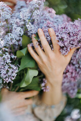 Woman hands hold and embrace bouquet of blooming lilac shrub.