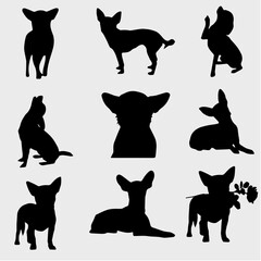 Chihuahua (toy terrier) dog silhouette