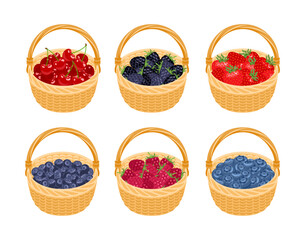 Set of baskets with different berries. Vector cartoon illustration of raspberry, strawberry, blueberry, cherry, bilberry and blackberry.