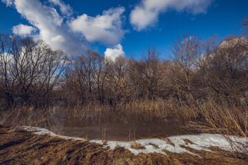 the long-awaited spring in the countryside