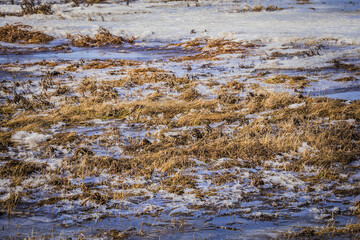 the long-awaited spring in the countryside