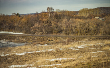the long-awaited spring in the countryside