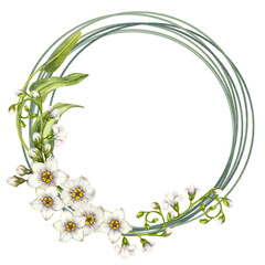 Beautiful  watercolor white forget-me-not round frame for wedding, Mother's Day, Father's Day, Valentine's Day, Women's Day, birthday, spring and summer bouquets. Elements isolated on white background