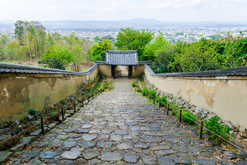 【奈良県】奈良市 白毫寺 (2023/04/11撮影)