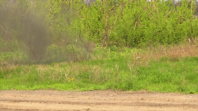 Explosion on the side of the road of an anti-personnel mine petal. Smoke and flying chips, fragments are visible