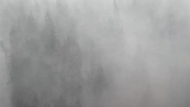 Aerial view of blizzard in the mountains. whiteout conditions. heavy winds and snowfall.