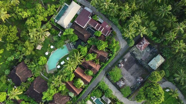 Drone top shot overflight villa, palm trees and jungle in Bali, Indonesia