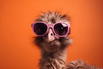 Fotobehang Funny ostrich wearing sunglasses in studio with a colorful and bright background. Generative AI © Mihai Zaharia