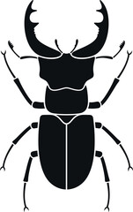 Beetle deer. Hercules beetle