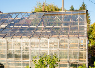 A greenhouse for plants made of glass in a private sector. Greenhouse for growing seedlings of plants.