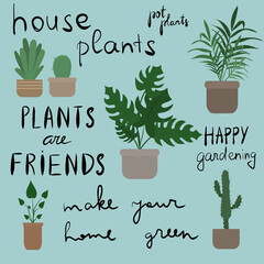 Home plant in pot, cute flat cartoon illustration