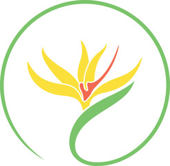 Bird of Paradise logo. Isolated bird of paradise on white background © oleg7799