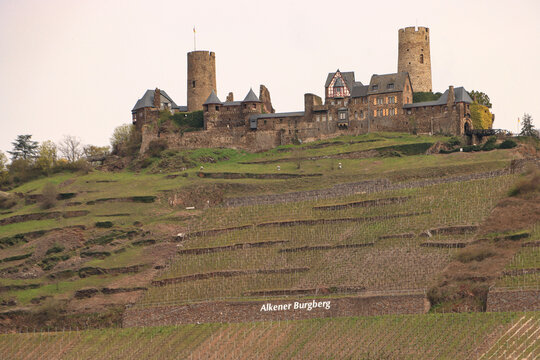 Burg Thurant über Alken an der Mosel